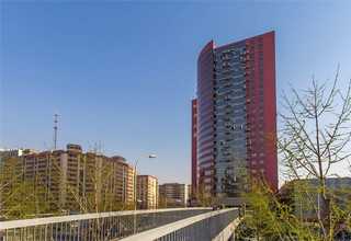 松江区优势技术开发特点