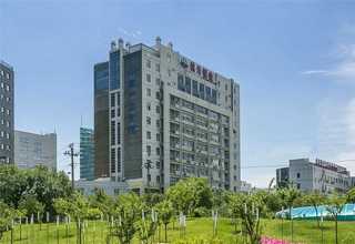 广东老人养生茶怎么搭配